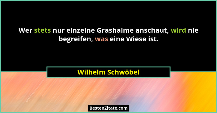 Wer stets nur einzelne Grashalme anschaut, wird nie begreifen, was eine Wiese ist.... - Wilhelm Schwöbel