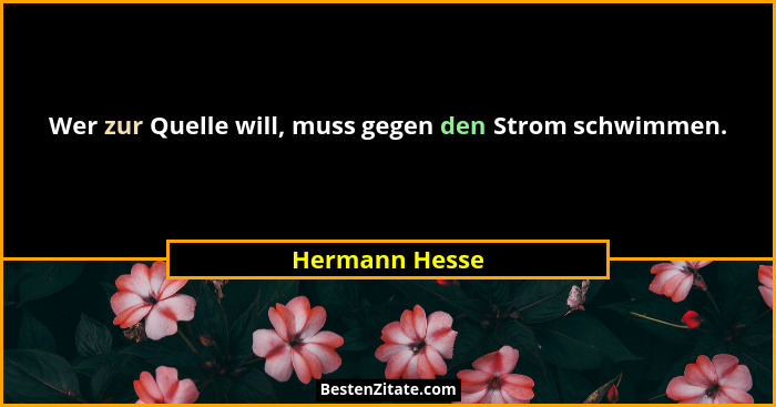 Wer zur Quelle will, muss gegen den Strom schwimmen.... - Hermann Hesse