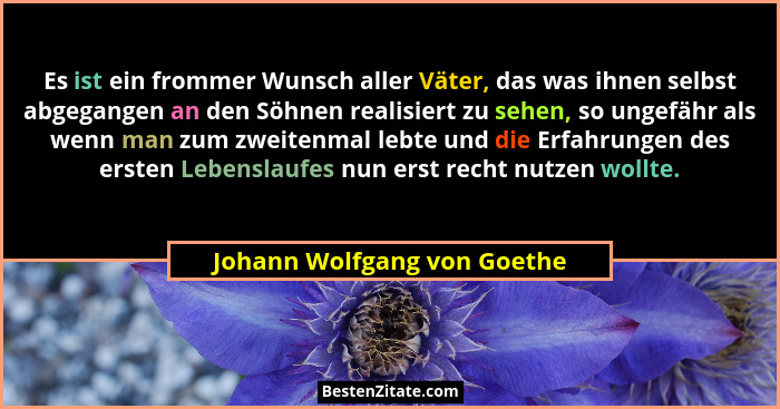 Es ist ein frommer Wunsch aller Väter, das was ihnen selbst abgegangen an den Söhnen realisiert zu sehen, so ungefähr als... - Johann Wolfgang von Goethe