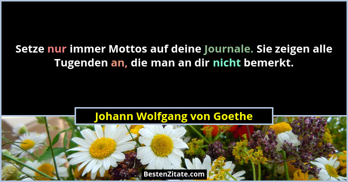 Setze nur immer Mottos auf deine Journale. Sie zeigen alle Tugenden an, die man an dir nicht bemerkt.... - Johann Wolfgang von Goethe