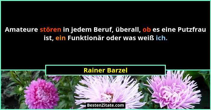 Amateure stören in jedem Beruf, überall, ob es eine Putzfrau ist, ein Funktionär oder was weiß ich.... - Rainer Barzel