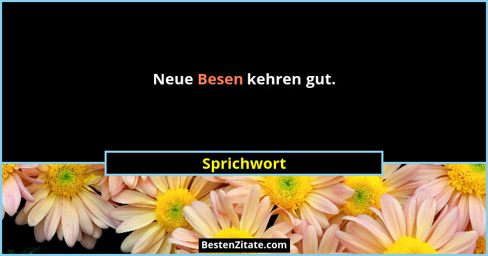 Neue Besen kehren gut.... - Sprichwort