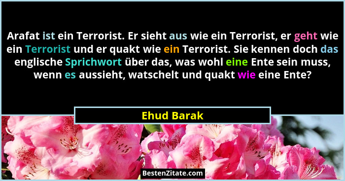 Arafat ist ein Terrorist. Er sieht aus wie ein Terrorist, er geht wie ein Terrorist und er quakt wie ein Terrorist. Sie kennen doch das e... - Ehud Barak