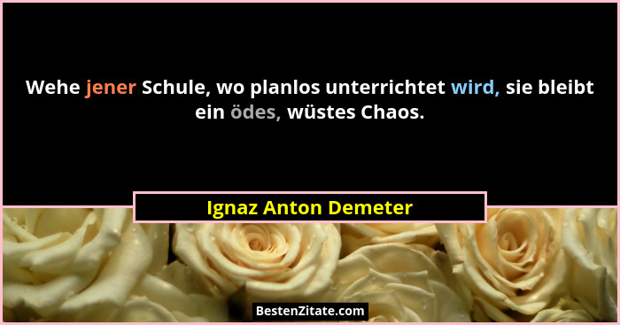 Wehe jener Schule, wo planlos unterrichtet wird, sie bleibt ein ödes, wüstes Chaos.... - Ignaz Anton Demeter
