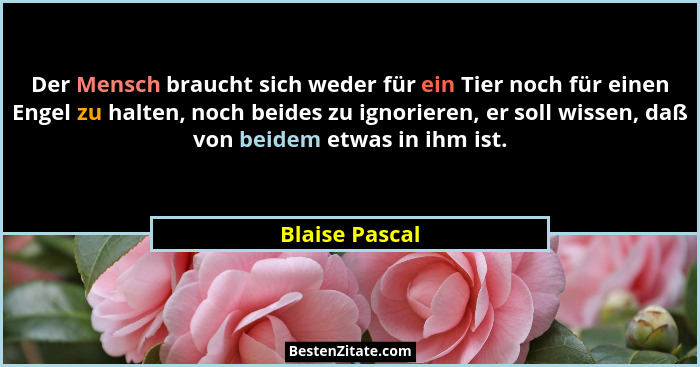 Der Mensch braucht sich weder für ein Tier noch für einen Engel zu halten, noch beides zu ignorieren, er soll wissen, daß von beidem e... - Blaise Pascal
