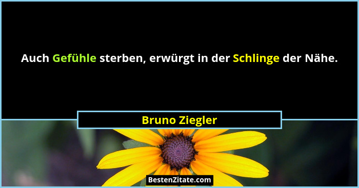 Auch Gefühle sterben, erwürgt in der Schlinge der Nähe.... - Bruno Ziegler