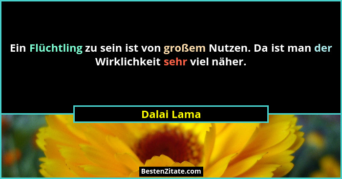 Ein Flüchtling zu sein ist von großem Nutzen. Da ist man der Wirklichkeit sehr viel näher.... - Dalai Lama