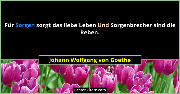 Für Sorgen sorgt das liebe Leben Und Sorgenbrecher sind die Reben.... - Johann Wolfgang von Goethe