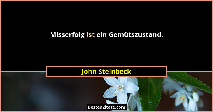 Misserfolg ist ein Gemütszustand.... - John Steinbeck