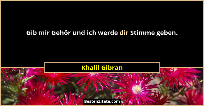 Gib mir Gehör und ich werde dir Stimme geben.... - Khalil Gibran