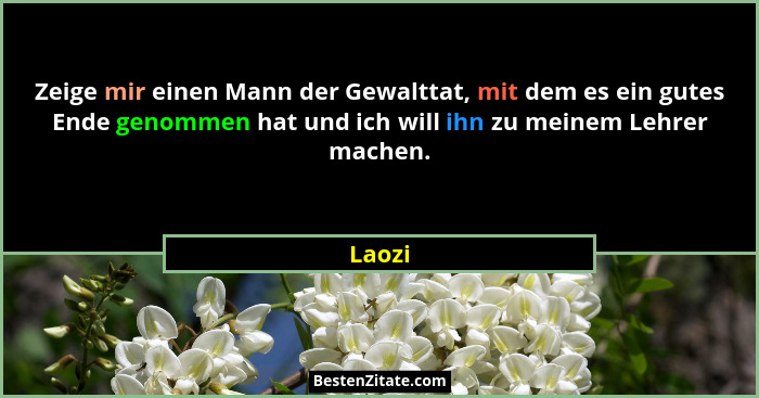 Zeige mir einen Mann der Gewalttat, mit dem es ein gutes Ende genommen hat und ich will ihn zu meinem Lehrer machen.... - Laozi