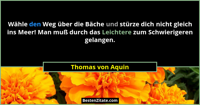 Wähle den Weg über die Bäche und stürze dich nicht gleich ins Meer! Man muß durch das Leichtere zum Schwierigeren gelangen.... - Thomas von Aquin