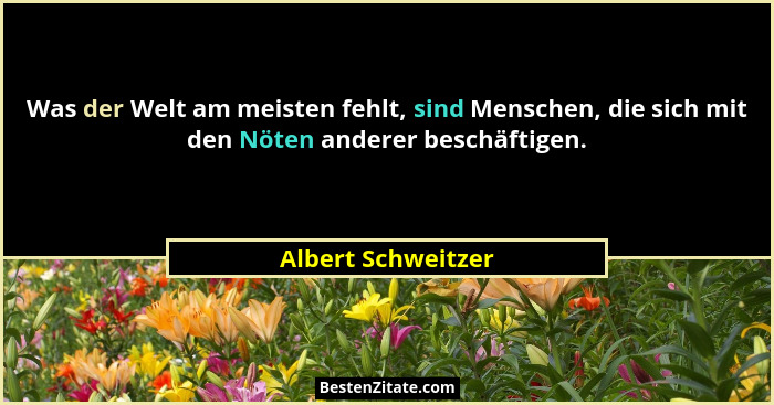 Was der Welt am meisten fehlt, sind Menschen, die sich mit den Nöten anderer beschäftigen.... - Albert Schweitzer