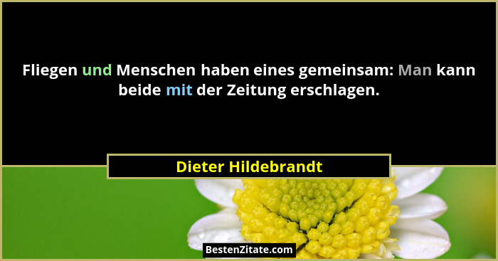 Fliegen und Menschen haben eines gemeinsam: Man kann beide mit der Zeitung erschlagen.... - Dieter Hildebrandt
