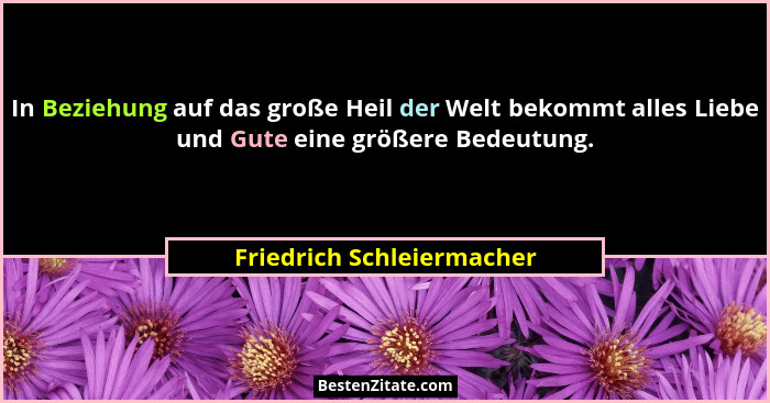In Beziehung auf das große Heil der Welt bekommt alles Liebe und Gute eine größere Bedeutung.... - Friedrich Schleiermacher