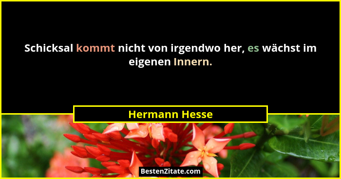 Schicksal kommt nicht von irgendwo her, es wächst im eigenen Innern.... - Hermann Hesse