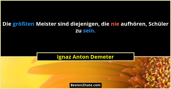 Die größten Meister sind diejenigen, die nie aufhören, Schüler zu sein.... - Ignaz Anton Demeter