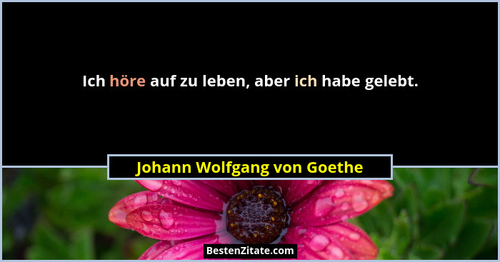 Ich höre auf zu leben, aber ich habe gelebt.... - Johann Wolfgang von Goethe