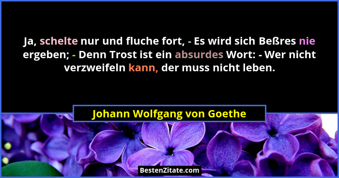 Ja, schelte nur und fluche fort, - Es wird sich Beßres nie ergeben; - Denn Trost ist ein absurdes Wort: - Wer nicht verzw... - Johann Wolfgang von Goethe