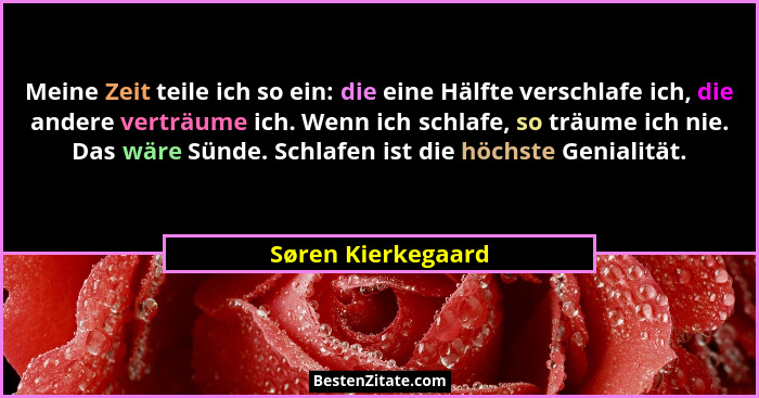 Meine Zeit teile ich so ein: die eine Hälfte verschlafe ich, die andere verträume ich. Wenn ich schlafe, so träume ich nie. Das wä... - Søren Kierkegaard