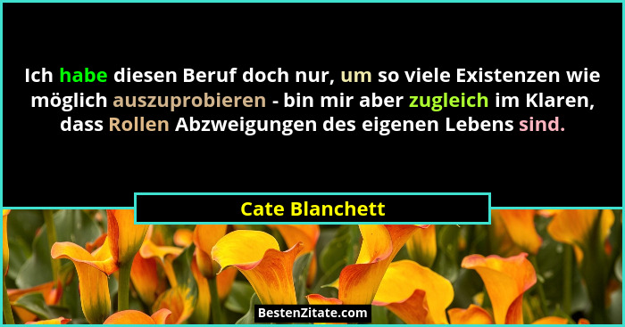 Ich habe diesen Beruf doch nur, um so viele Existenzen wie möglich auszuprobieren - bin mir aber zugleich im Klaren, dass Rollen Abzw... - Cate Blanchett