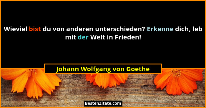 Wieviel bist du von anderen unterschieden? Erkenne dich, leb mit der Welt in Frieden!... - Johann Wolfgang von Goethe
