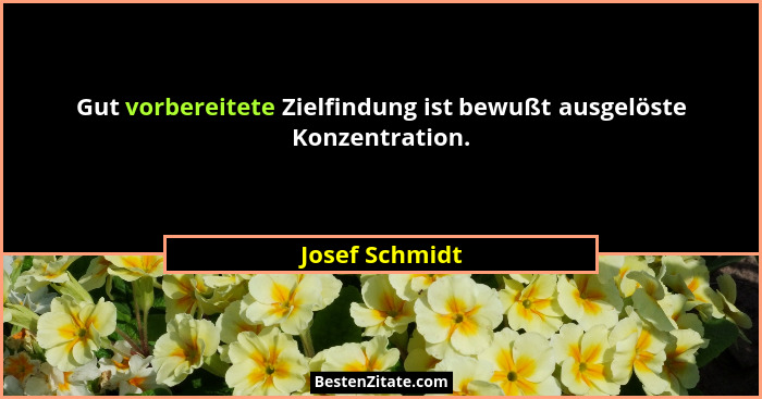 Gut vorbereitete Zielfindung ist bewußt ausgelöste Konzentration.... - Josef Schmidt