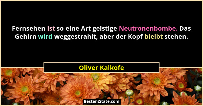 Fernsehen ist so eine Art geistige Neutronenbombe. Das Gehirn wird weggestrahlt, aber der Kopf bleibt stehen.... - Oliver Kalkofe