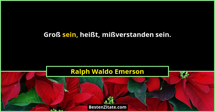 Groß sein, heißt, mißverstanden sein.... - Ralph Waldo Emerson
