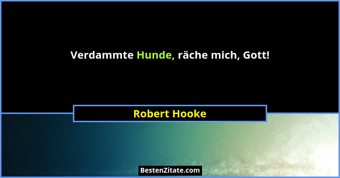 Verdammte Hunde, räche mich, Gott!... - Robert Hooke