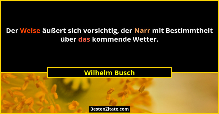 Der Weise äußert sich vorsichtig, der Narr mit Bestimmtheit über das kommende Wetter.... - Wilhelm Busch