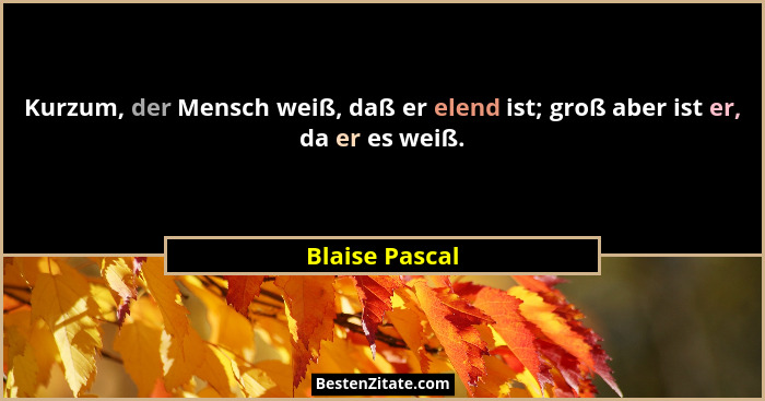 Kurzum, der Mensch weiß, daß er elend ist; groß aber ist er, da er es weiß.... - Blaise Pascal