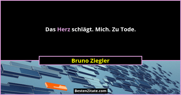 Das Herz schlägt. Mich. Zu Tode.... - Bruno Ziegler
