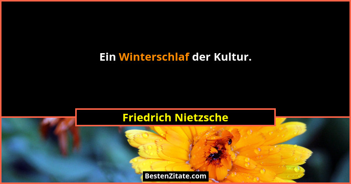 Ein Winterschlaf der Kultur.... - Friedrich Nietzsche