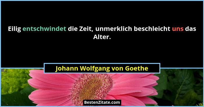 Eilig entschwindet die Zeit, unmerklich beschleicht uns das Alter.... - Johann Wolfgang von Goethe