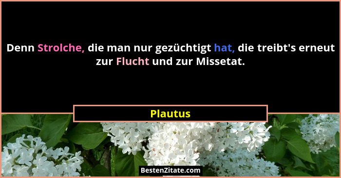 Denn Strolche, die man nur gezüchtigt hat, die treibt's erneut zur Flucht und zur Missetat.... - Plautus