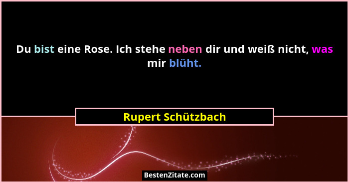Du bist eine Rose. Ich stehe neben dir und weiß nicht, was mir blüht.... - Rupert Schützbach