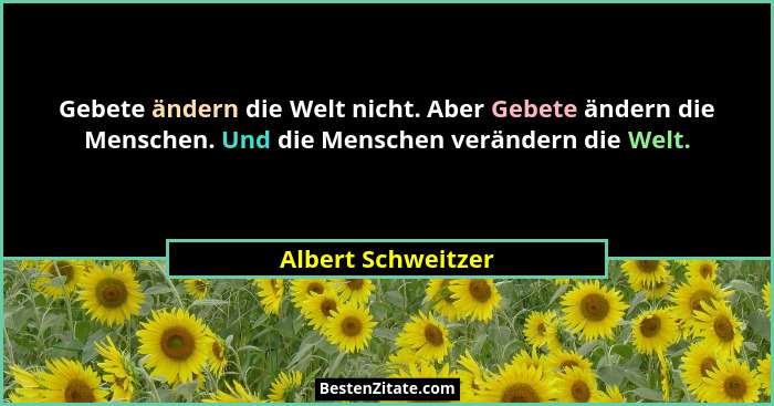 Gebete ändern die Welt nicht. Aber Gebete ändern die Menschen. Und die Menschen verändern die Welt.... - Albert Schweitzer