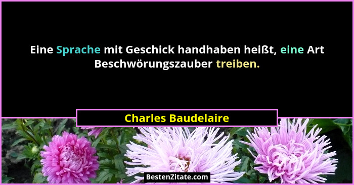 Eine Sprache mit Geschick handhaben heißt, eine Art Beschwörungszauber treiben.... - Charles Baudelaire