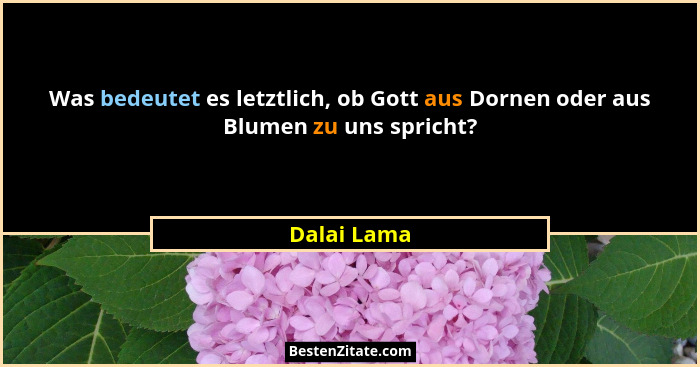 Was bedeutet es letztlich, ob Gott aus Dornen oder aus Blumen zu uns spricht?... - Dalai Lama
