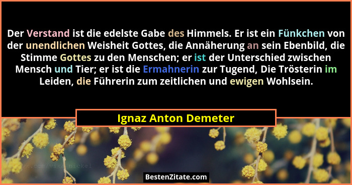 Der Verstand ist die edelste Gabe des Himmels. Er ist ein Fünkchen von der unendlichen Weisheit Gottes, die Annäherung an sein E... - Ignaz Anton Demeter