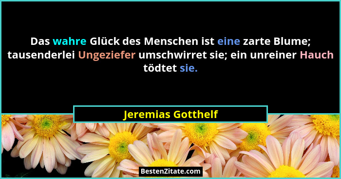 Das wahre Glück des Menschen ist eine zarte Blume; tausenderlei Ungeziefer umschwirret sie; ein unreiner Hauch tödtet sie.... - Jeremias Gotthelf
