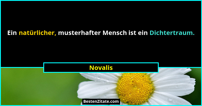 Ein natürlicher, musterhafter Mensch ist ein Dichtertraum.... - Novalis