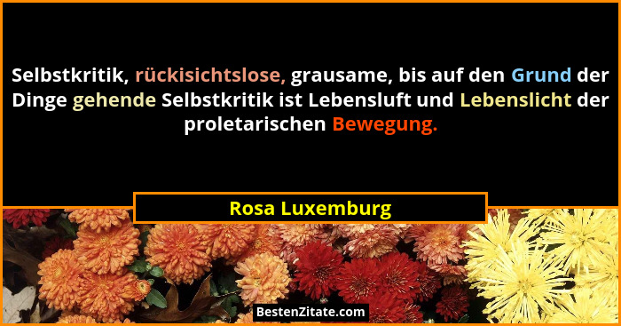 Selbstkritik, rückisichtslose, grausame, bis auf den Grund der Dinge gehende Selbstkritik ist Lebensluft und Lebenslicht der proletar... - Rosa Luxemburg