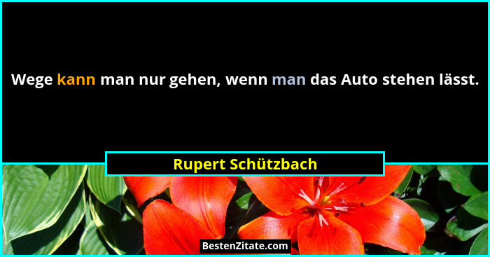 Wege kann man nur gehen, wenn man das Auto stehen lässt.... - Rupert Schützbach