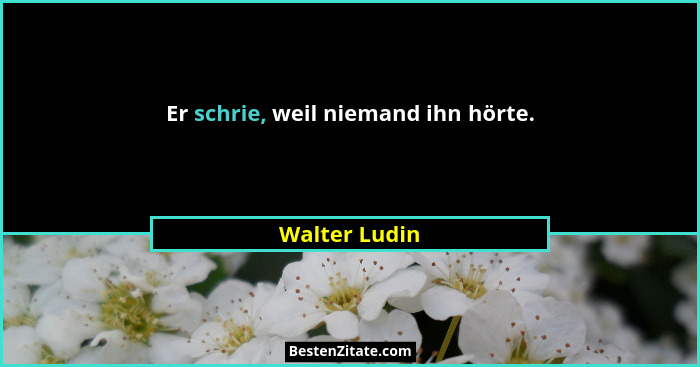 Er schrie, weil niemand ihn hörte.... - Walter Ludin