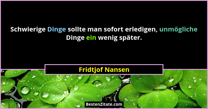 Schwierige Dinge sollte man sofort erledigen, unmögliche Dinge ein wenig später.... - Fridtjof Nansen