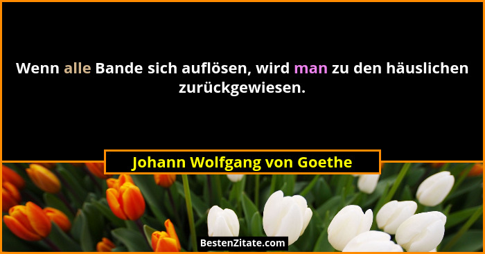 Wenn alle Bande sich auflösen, wird man zu den häuslichen zurückgewiesen.... - Johann Wolfgang von Goethe