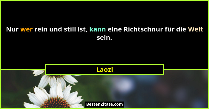 Nur wer rein und still ist, kann eine Richtschnur für die Welt sein.... - Laozi