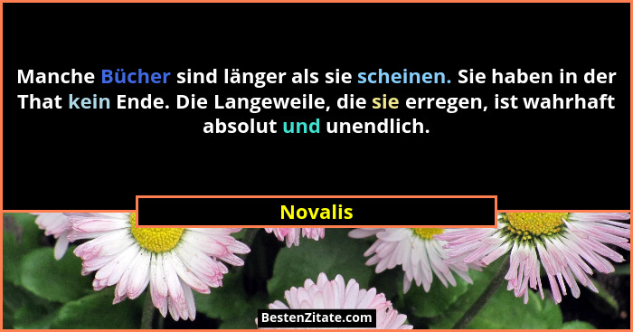 Manche Bücher sind länger als sie scheinen. Sie haben in der That kein Ende. Die Langeweile, die sie erregen, ist wahrhaft absolut und unend... - Novalis